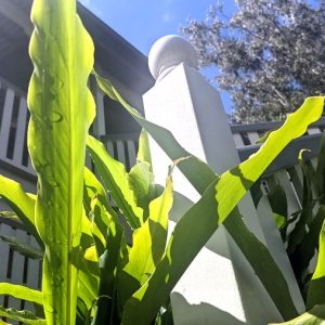 Samford Farmers Hall Exterior Photos 03